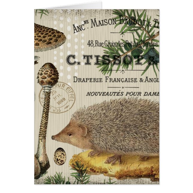 erizo moderno del arbolado del vintage (Frente)