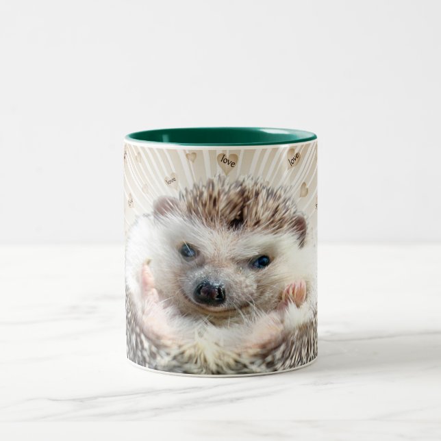 Erizo una clase especial de taza del amor (Centro)