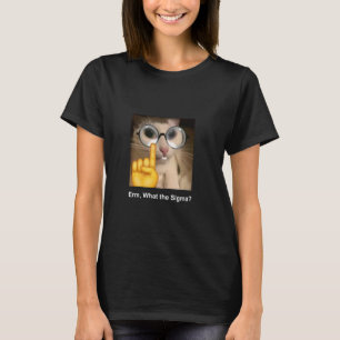 Erm Qué la Camiseta de Humor de Matemáticas Sigma 