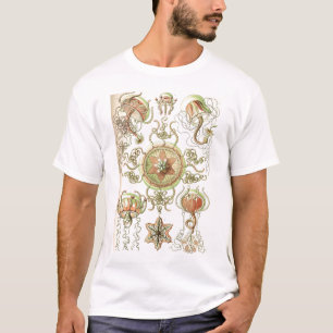 Ernst Haeckel - Camisa Trachomedusae