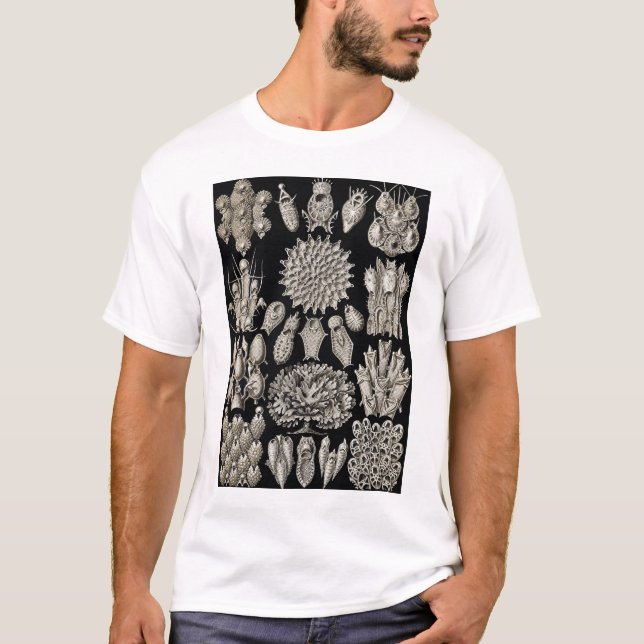 Ernst Haeckel - camiseta Bryozoa2 (Anverso)