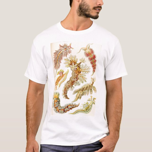 Ernst Haeckel - camiseta del Nudibranchia (Anverso)