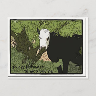Errar es humano, moo postal bovina
