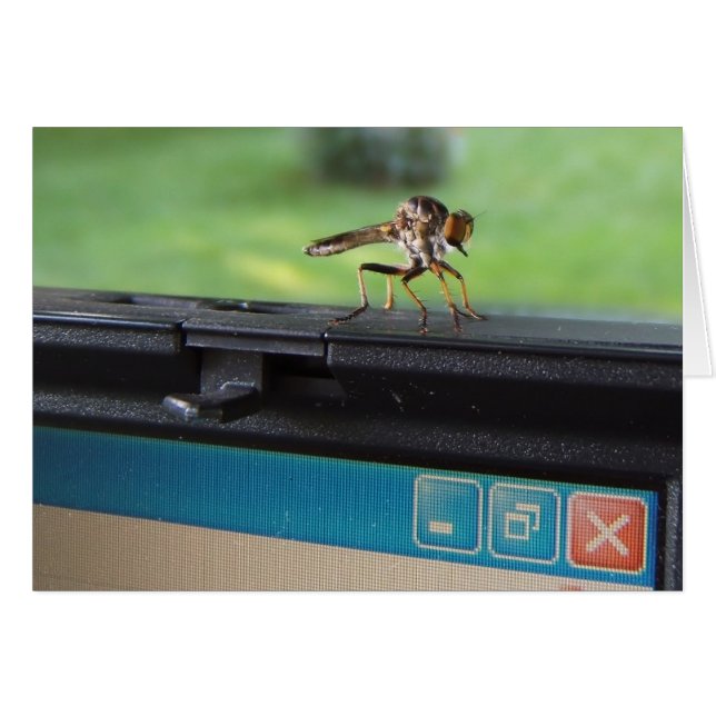 Error en la tarjeta System ~ (Anverso (Horizontal))