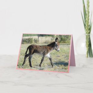 ¡Es Chica! Tarjeta de saludo de Baby Burro