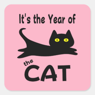 Es el año del Pegatina de la Plaza CAT