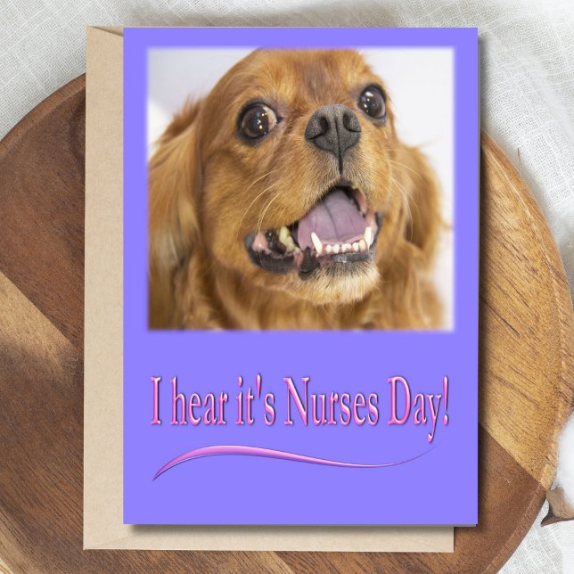 Es el Día de las Enfermeras Tarjeta Cavalier King  (Subido por el creador)