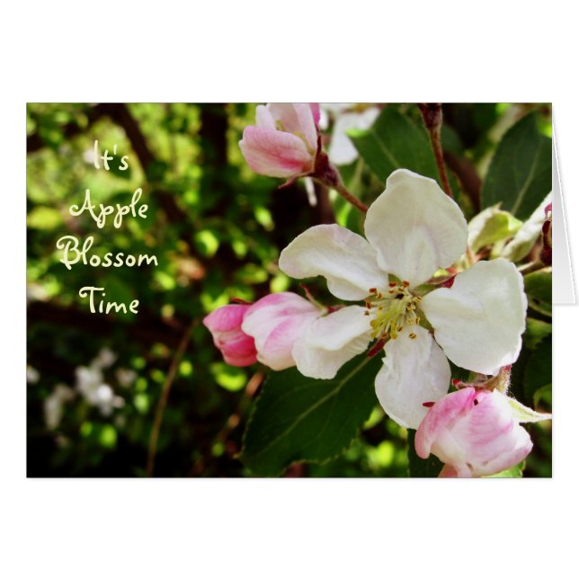 Es el tiempo AppleBlossom (Anverso (Horizontal))