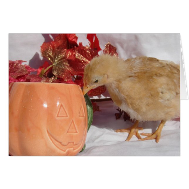 ¿Es Esa Comida? (Anverso (Horizontal))