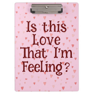 ¿Es este amor lo que siento? Carpeta de pinza