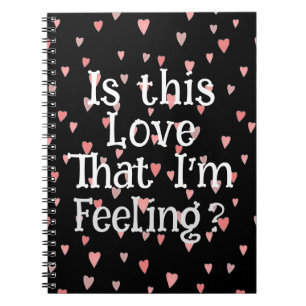 ¿Es este amor lo que siento? Cuaderno