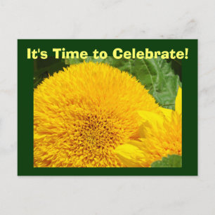 ¡Es hora de celebrar! Invitaciones Feliz Cumpleaño