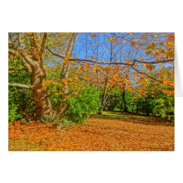 ¡Es hora de tomar el sol! (Anverso (Horizontal))