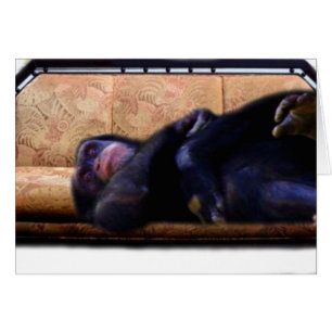 Es hora de un descanso.