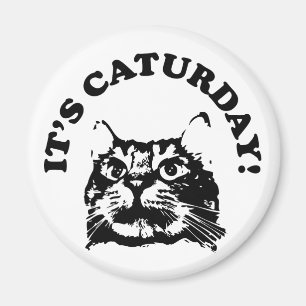 Es imán de Caturday