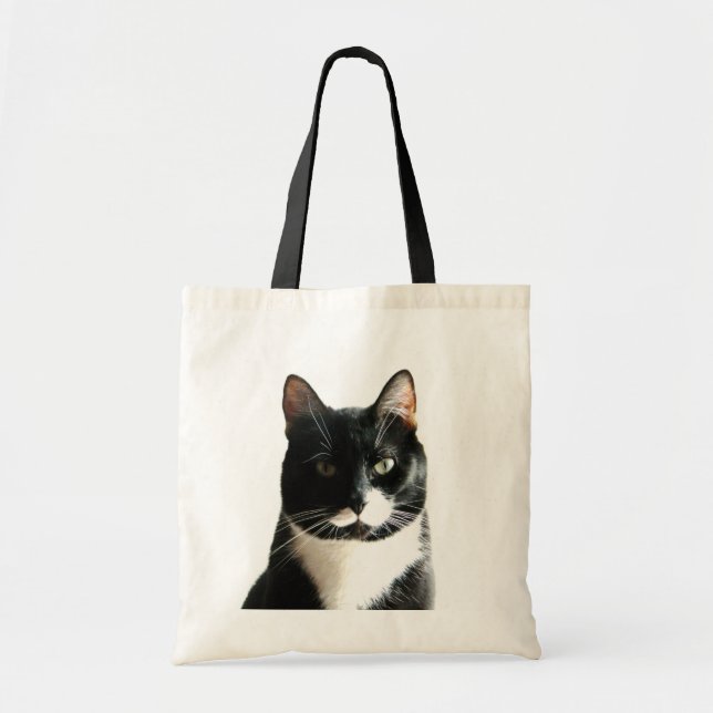 Es sólo la bolsa de gato. (Frente)