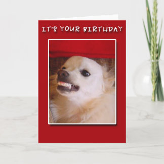 ¡Es su cumpleaños! Mueca de la tarjeta de