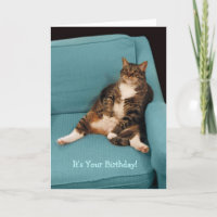 Es su tarjeta de felicitación gorda grande del