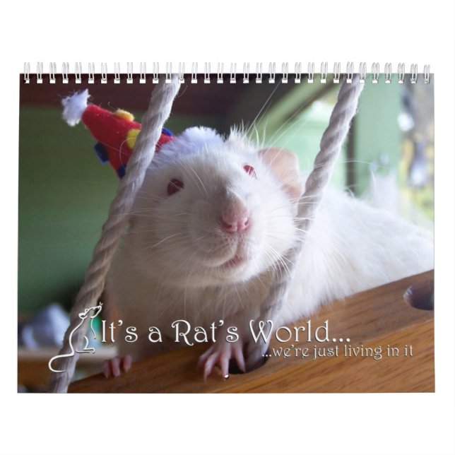 Es un calendario de mundo de la rata 2016 (Tapa)