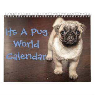 Es un calendario de pug