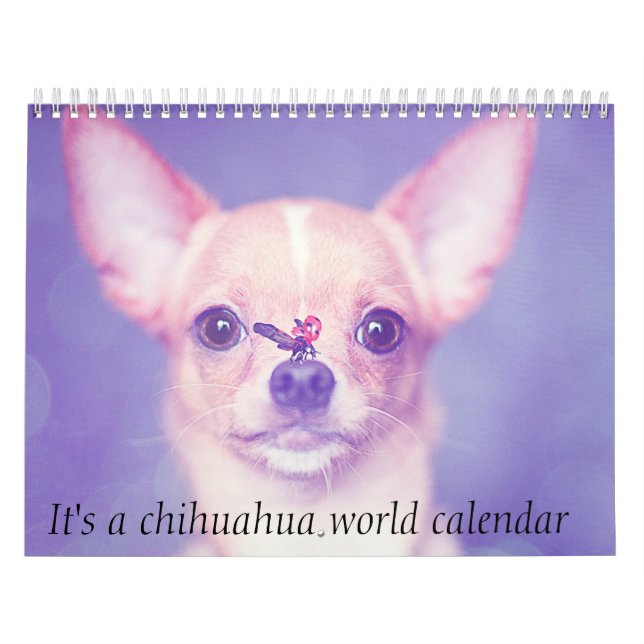 Es un calendario mundial de Chihuahua (Tapa)