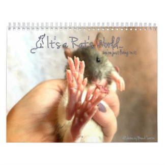 Es un calendario mundial de ratas