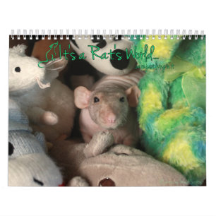 Es un calendario mundial de ratas