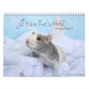 Es un calendario mundial de ratas