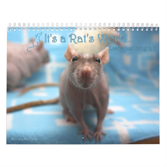 Es un calendario mundial de ratas 2016 (Tapa)