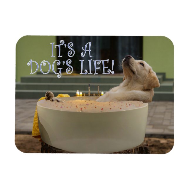 Es un imán de vida para perros (Horizontal)