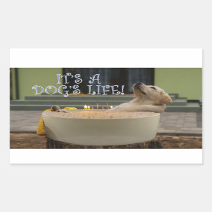 Es un pegatina rectangular de vida de perros