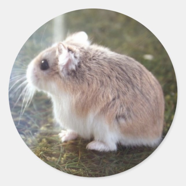 '¿Es una abeja?' - Pegatina de Tac (Anverso)