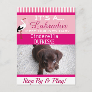 Es una Invitación de "nuevo Mascota"