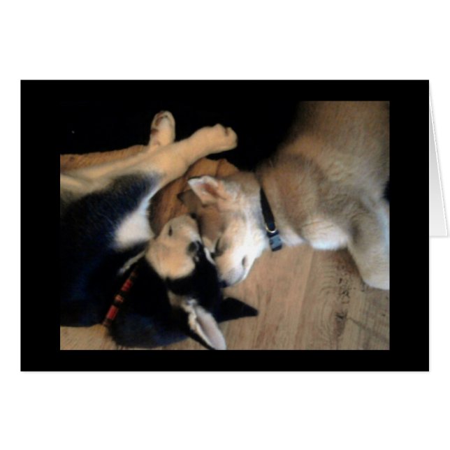 Es una vida de los perros (Anverso (Horizontal))