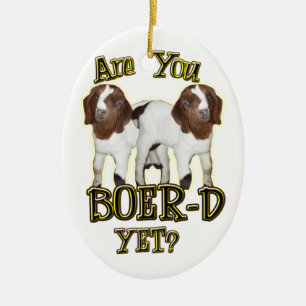 ¿ES USTED BOER-D TODAVÍA? ORNAMENTO DEL NAVIDAD 