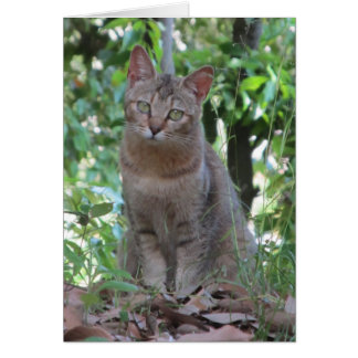 ¿Es usted talkin a mí? - Serie de TBD