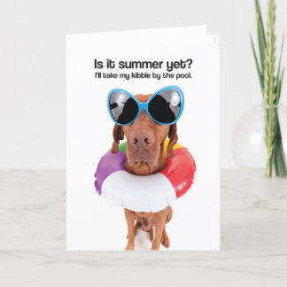 ¿Es verano todavía? (Vizsla) - tarjeta de