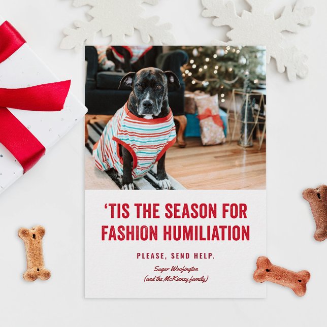 Ésa es la época de los Navidades de la humillación (funny humor Christmas holiday photo cards for pets in ugly sweaters or costumes fashion)