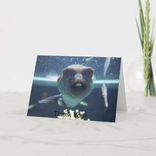 Esa tarjeta de pez bucktooth