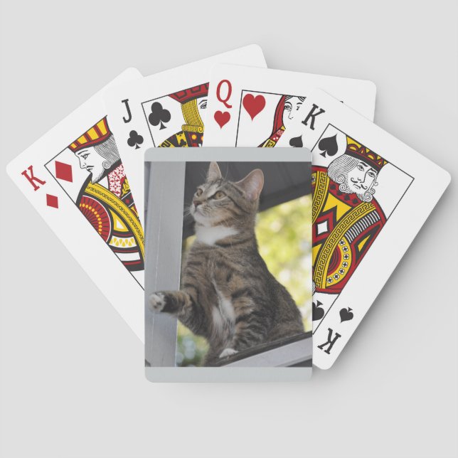 Esboza Las Cartas De Juego Del Gato (Reverso)