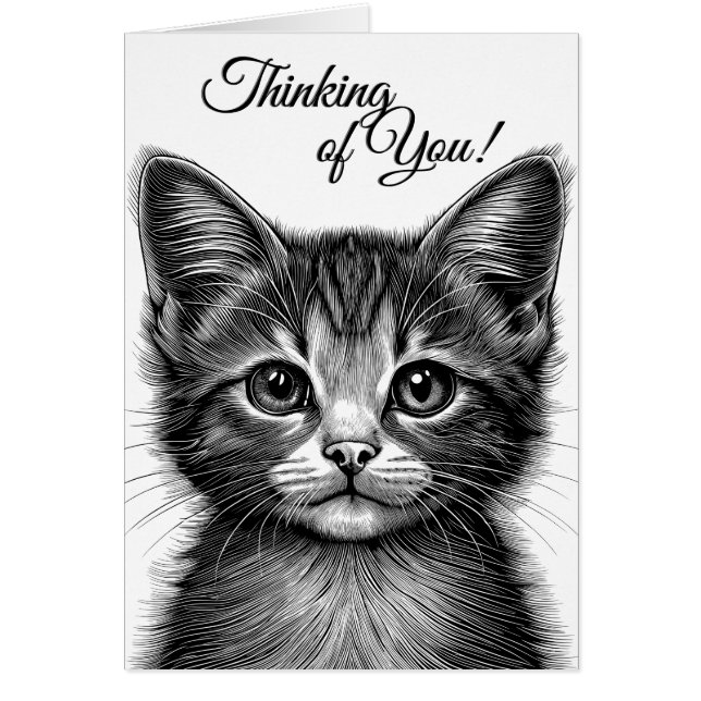 Esbozo adorable del joven gato en blanco dentro (Frente)