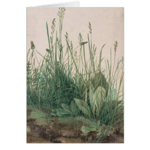 Esbozo Albrecht Durer