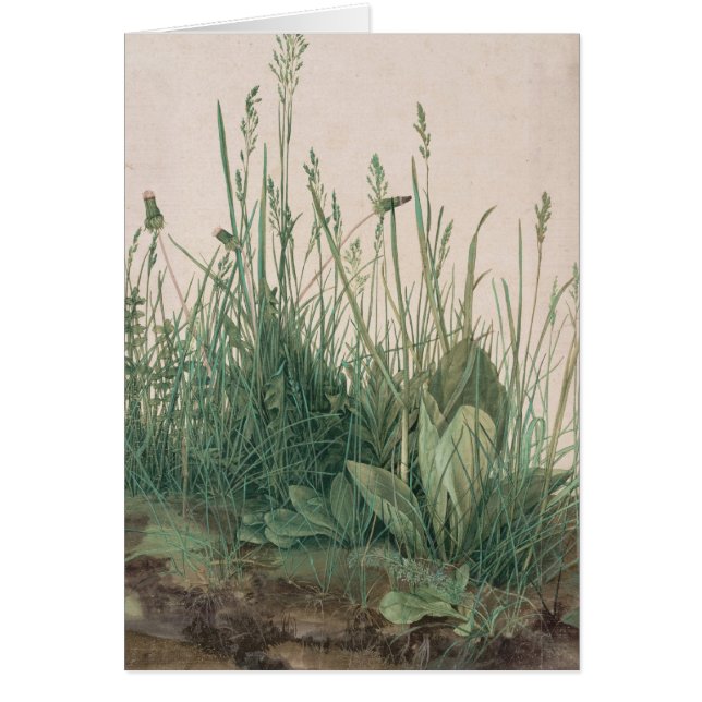 Esbozo Albrecht Durer (Frente)