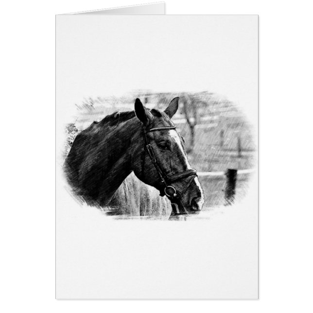 Esbozo de caballos blancos negros (Frente)