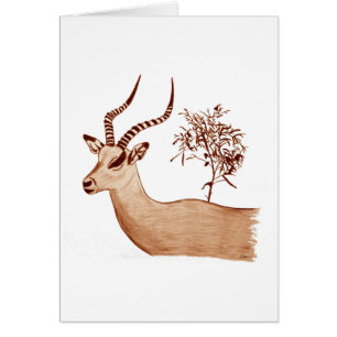 Esbozo de dibujo de animales de la especie Impala 