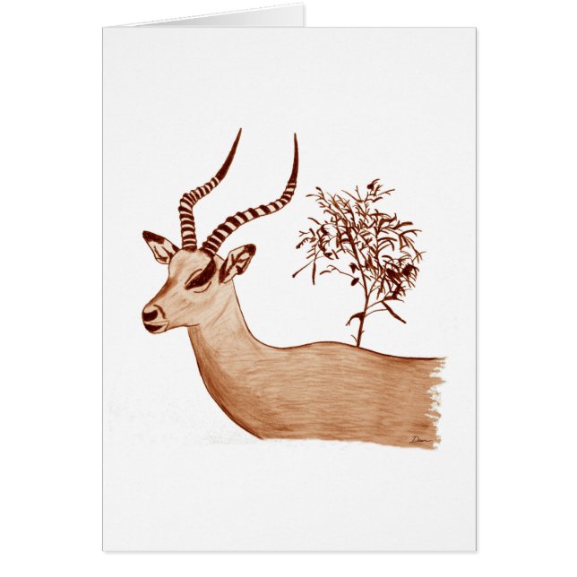 Esbozo de dibujo de animales de la especie Impala  (Frente)