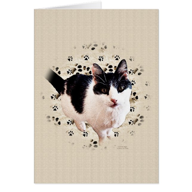 Esbozo de gato digital (Frente)