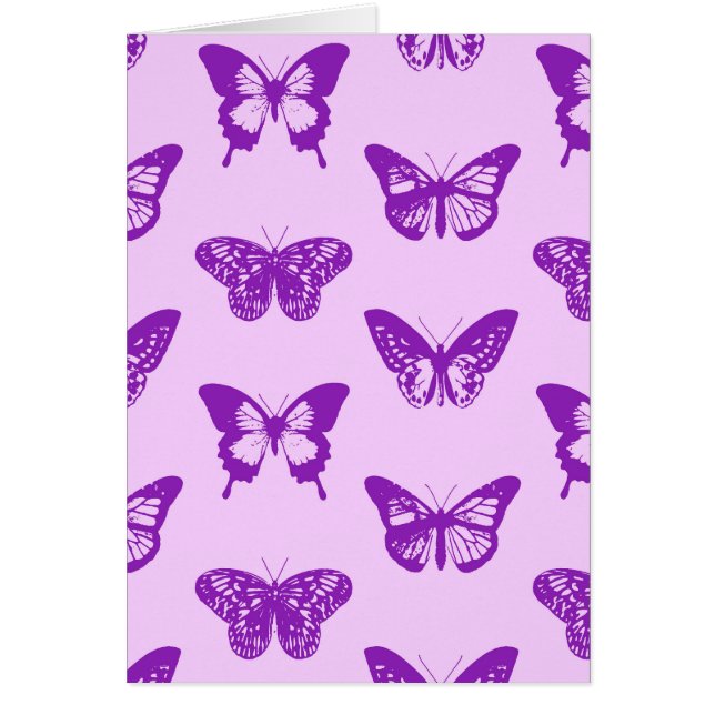 Esbozo de mariposa, rosa orquídea y violeta (Frente)