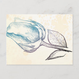 Esbozo de un rosa, postal