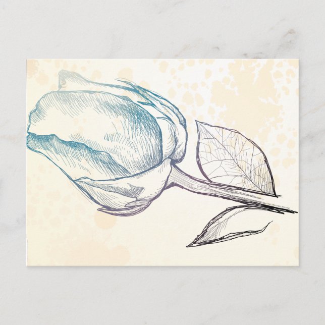 Esbozo de un rosa, postal (Anverso)